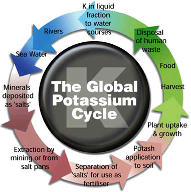 Potash Cycle.jpg